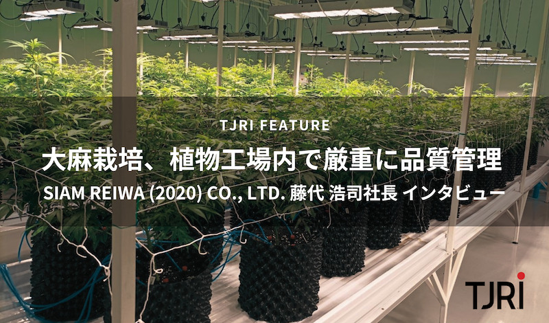 [Feature] 大麻栽培、植物工場内で厳重に品質管理 〜 サイアムレイワ社長インタビュー
