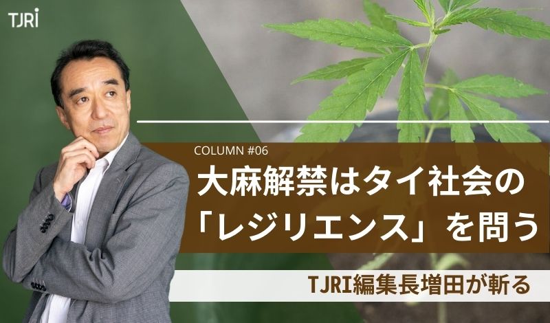 [Column] 大麻解禁はタイ社会の「レジリエンス」を問う