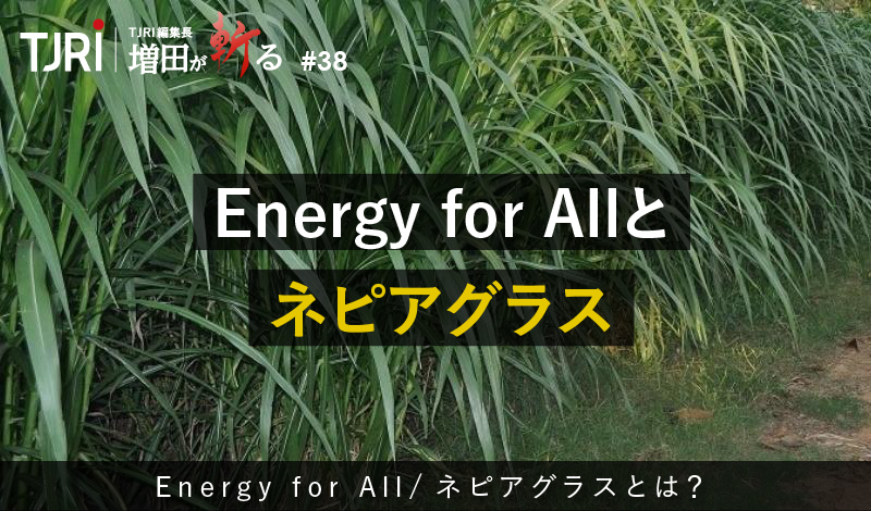 Energy for Allとネピアグラス