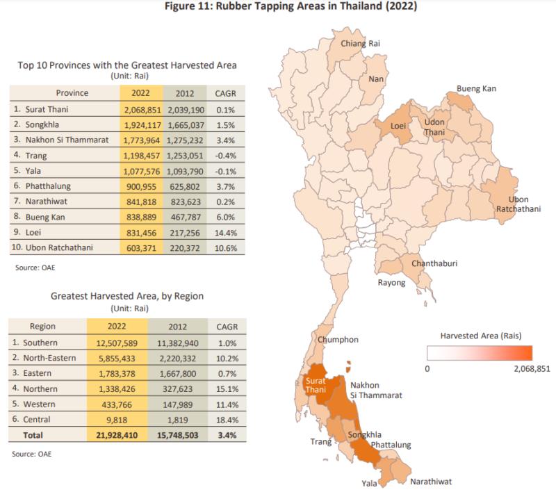 タイにおける天然ゴムの収穫地域と量
