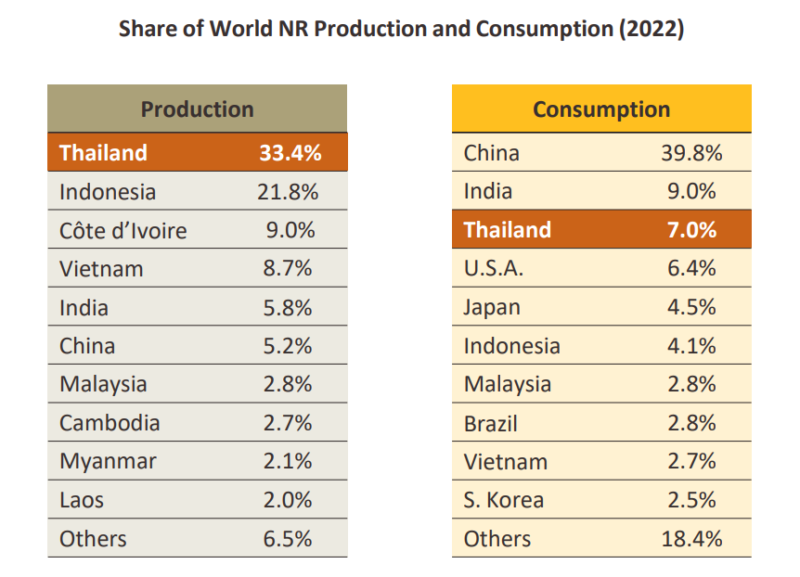 主要国における天然ゴムの生産量と消費量（2022年）
